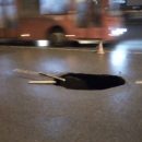 На одной из улиц Казани провалился асфальт