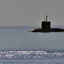 В США констатировали вымирание подводных сил России