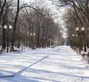 В Киеве 5 зеленых зон спасли от застройки