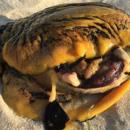 Найденное на пляже загадочное существо оказалось «убийцей собак»
