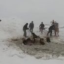 Спасение провалившихся под лед лошадей россиянами попало на видео