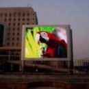 Киевляне просят перенести крупные рекламные LED-экраны подальше от дорог