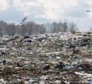 В Киеве не будет проблем с вывозом мусора