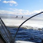 В трех километрах от берега: в Татарстане с оторвавшейся льдины спасли девять человек