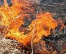 Киевлян будут штрафовать за сжигание сухой травы (размер штрафов)