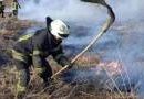 Под Киевом 112 раз происходили пожары из-за поджога травы