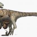 Опровергнут популярный миф о динозаврах