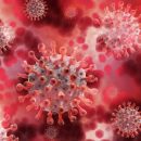 Если вы думаете, что уже все знаете о коронавирусе, этот тест докажет обратное. Сможете пройти?