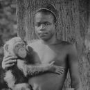 Нью-йоркский зоопарк извинился за чернокожего в вольере для обезьян