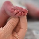 Почти 49 тысяч подмосковных семей получили выплаты на новорожденных