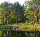 Национальный природный парк «Голосеевский» проверят