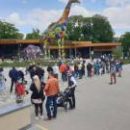 Реконструкцию киевского зоопарка продолжат в следующем году (видео)