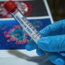 Найдена мутация коронавируса, к которой бессильны антитела