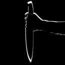 Сменивший пол подросток 118 раз ударил свою мать ножом