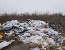 В Киеве выявляют предпринимателей, которые не вывозят мусор