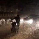 Полчища насекомых устроили пробку на шоссе и попали на видео