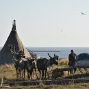 В Красноярском крае появятся первые этнодеревни