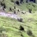 Смертельное ДТП с тремя туристами в Грузии попало на видео
