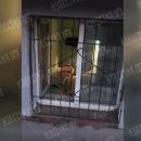 Россиян обеспокоил подозрительный хоспис в подвале жилого дома