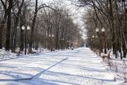 В октябре представят Программу развития зеленых зон Киева В октябре представят Программу развития зеленых зон Киева