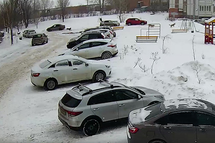 Спасение российского ребенка от стаи бездомных собак попало на видео