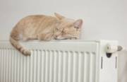 Киевлянам объяснили, почему вместо удешевления отопление подорожало Киевлянам объяснили, почему вместо удешевления отопление подорожало
