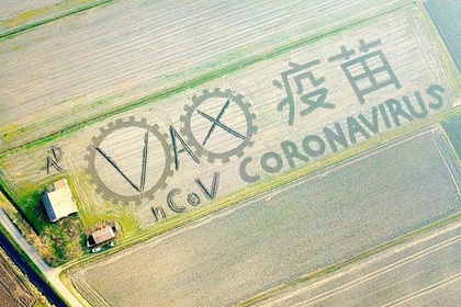Художник «создал» коронавирус на поле с помощью трактора Художник «создал» коронавирус на поле с помощью трактора