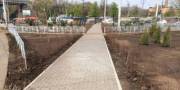 Петропавловскую площадь в Киеве озеленили