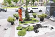 На Крещатике начали высаживать деревья На Крещатике начали высаживать деревья
