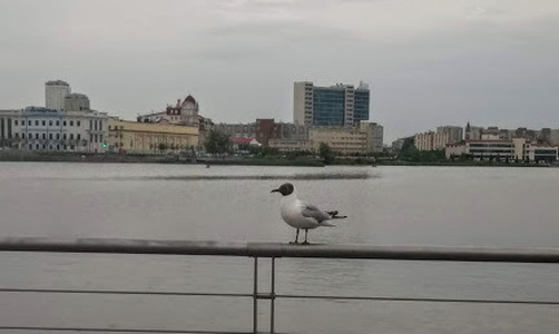 Лето в Татарстане начнется с резкого похолодания