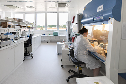 Коронавирус идеально адаптировался к организму человека Коронавирус идеально адаптировался к организму человека