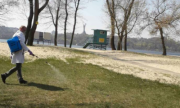 В Деснянском районе парки просят не посещать из-за обработки деревьев от клещей 