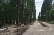 Как будет выглядеть парк «Муромец» и какие работы уже сделали (фото)