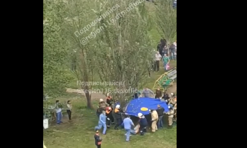 В Казани мужчину, не желавшего спускаться с дерева, доставили в больницу. Он сорвался с высоты В Казани мужчину, не желавшего спускаться с дерева, доставили в больницу. Он сорвался с высоты