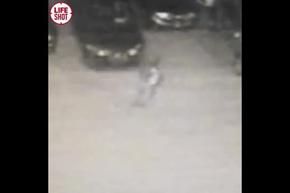 Момент поджога 13 автомобилей в российском городе попал на видео
