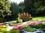 В трех районах Киева появится по парку