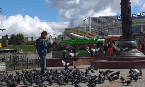 В Казани продолжаются протесты: на Баумана снова «кормят голубей» В Казани продолжаются протесты: на Баумана снова «кормят голубей»