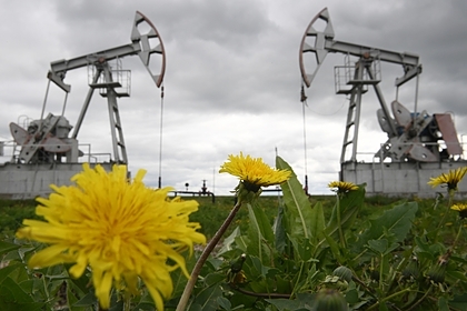 Эксперт признал хеджирование нефтяных цен благоприятным для экономики России Эксперт признал хеджирование нефтяных цен благоприятным для экономики России