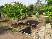 В парке «Позняки» началось строительство В парке «Позняки» началось строительство