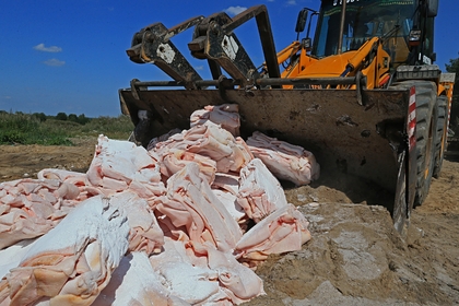 Россияне высказались против уничтожения санкционных продуктов Россияне высказались против уничтожения санкционных продуктов