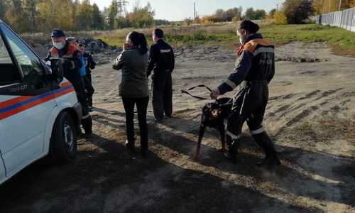 В Казани спасатели нашли пропавшую в лесу 48-летнюю женщину