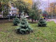 Завершили ремонт сквера на улице Татарской Завершили ремонт сквера на улице Татарской