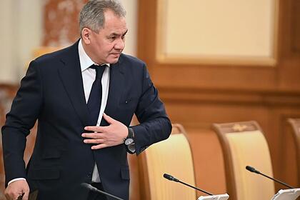 Шойгу сравнил немецкого министра с избалованной школьницей Шойгу сравнил немецкого министра с избалованной школьницей