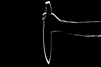 Сменивший пол подросток 118 раз ударил свою мать ножом Сменивший пол подросток 118 раз ударил свою мать ножом