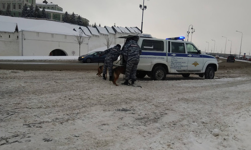 Сегодня в Татарстане пройдет полицейский рейд Сегодня в Татарстане пройдет полицейский рейд