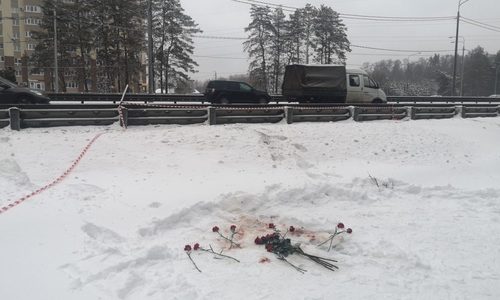 Следователи назвали возможную причину убийства учительницы математики Следователи назвали возможную причину убийства учительницы математики