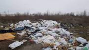 В Киеве выявляют предпринимателей, которые не вывозят мусор
