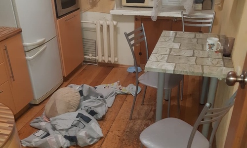В квартире Казани на двух девушек напал агрессивный кот, пришлось вызывать спасателей