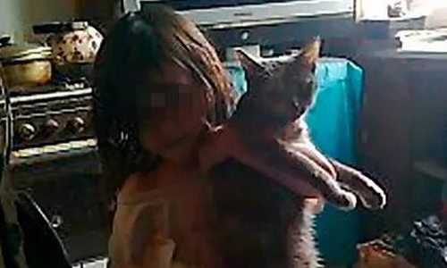 Живет в стае кошек и откликается на «кис-кис»: в Подмосковье нашли девочку-маугли