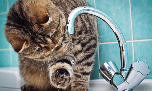 В ряде домов в Казани на целый день 8 апреля отключат воду из-за проведения ремонта